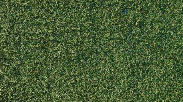 Tappeto padel in erba sintetica: vantaggi e tipologie