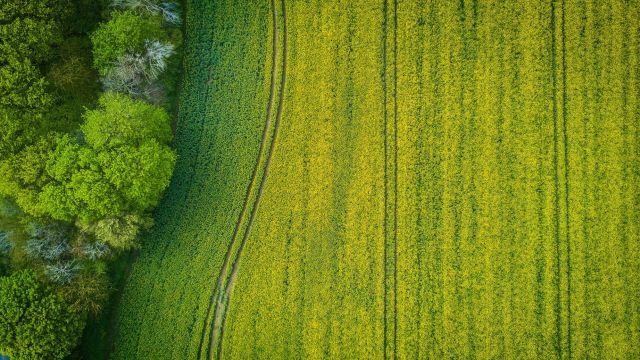 Campo da padel su terreno agricolo: è possibile?